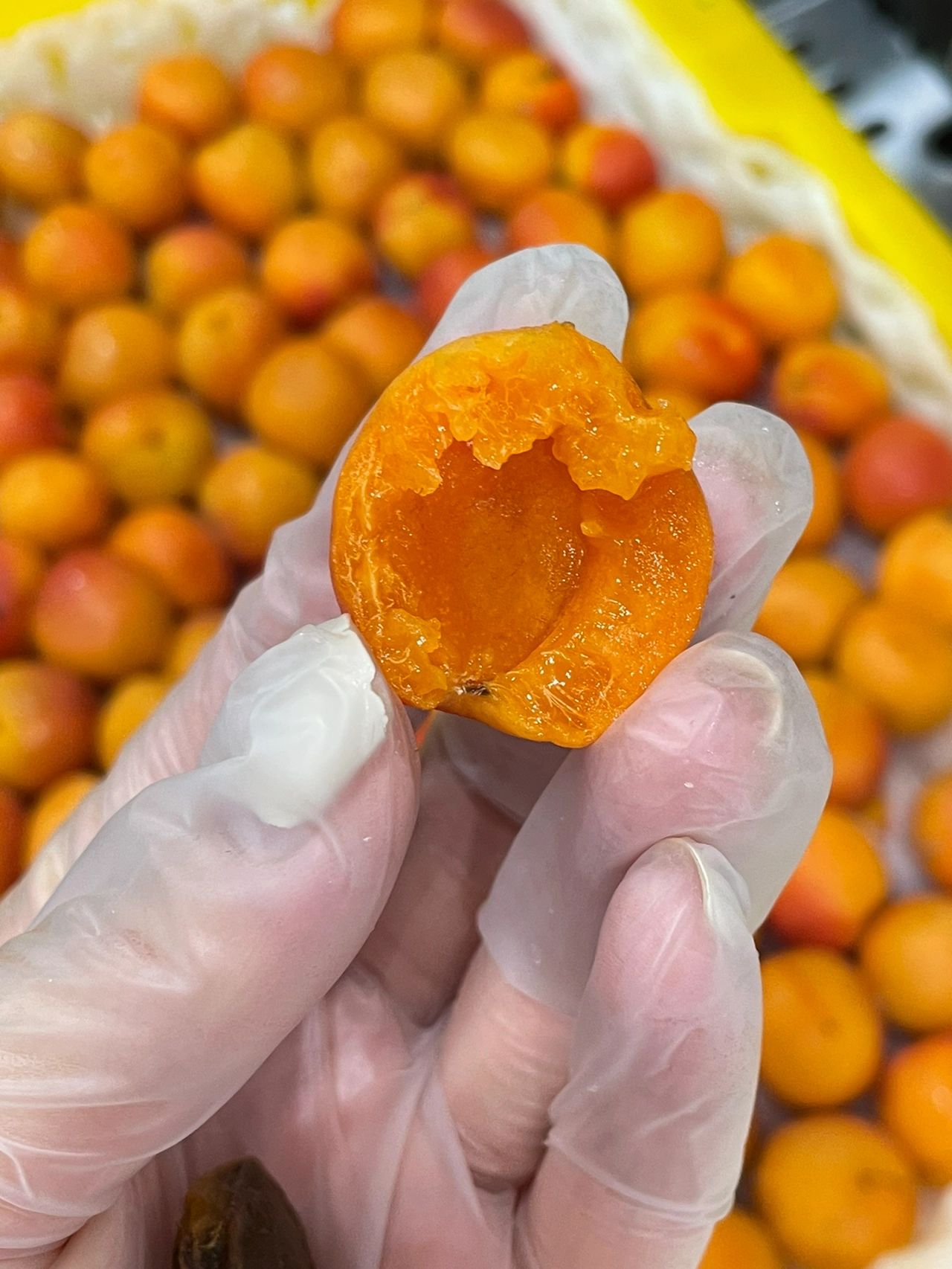 🍉水果摊主的日常：被顾客催更！ 👩🍳顾客：老板，今天有什么好 配图4