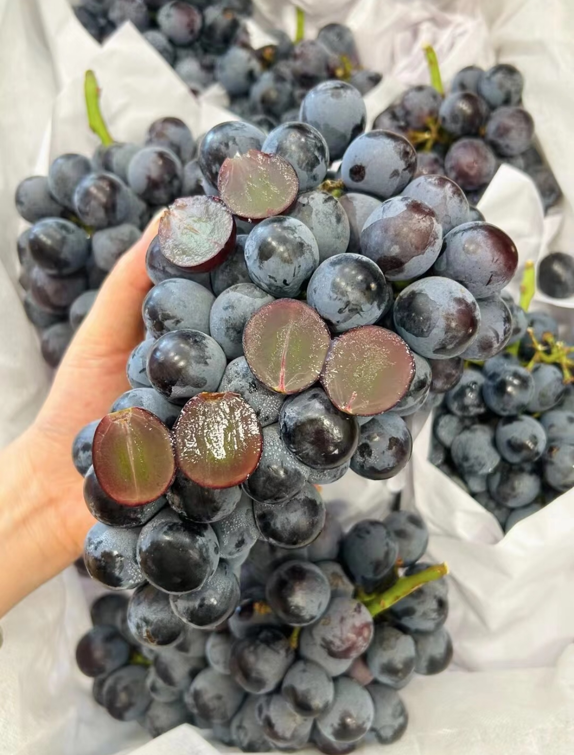 ❤️当季夏黑葡萄🍇 全年光照满格☀️，果 配图2