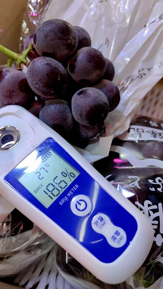 一藤福安巨峰葡萄🍇 夏天的快乐来一串巨峰 配图1