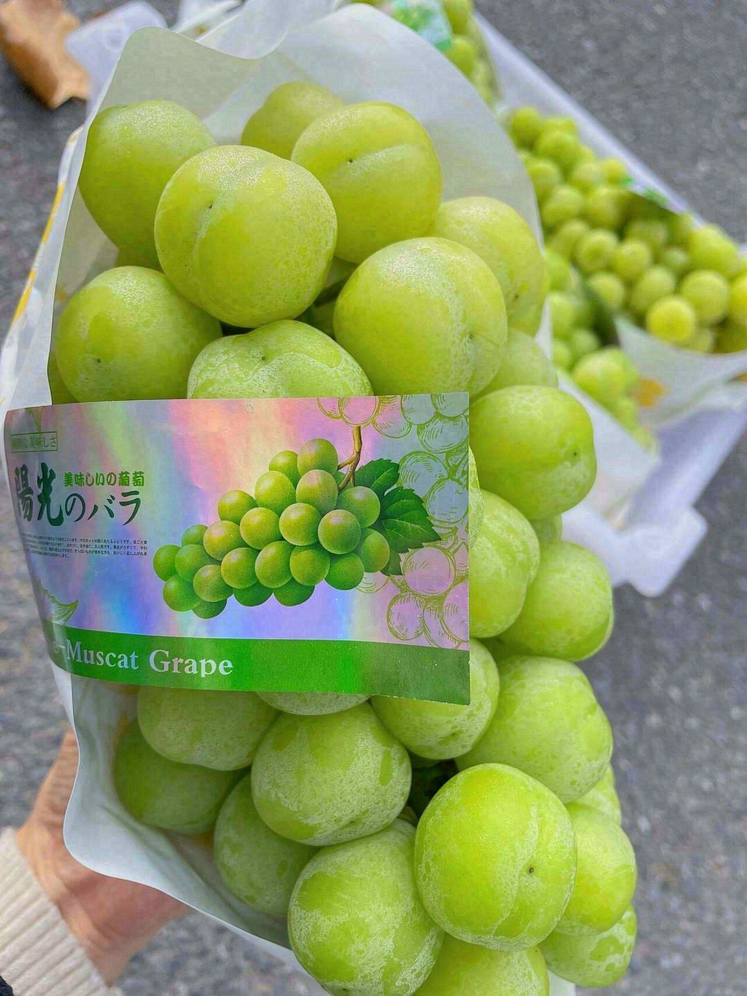 🍇所有写甜的文案～都不配不上它——特级阳 配图2