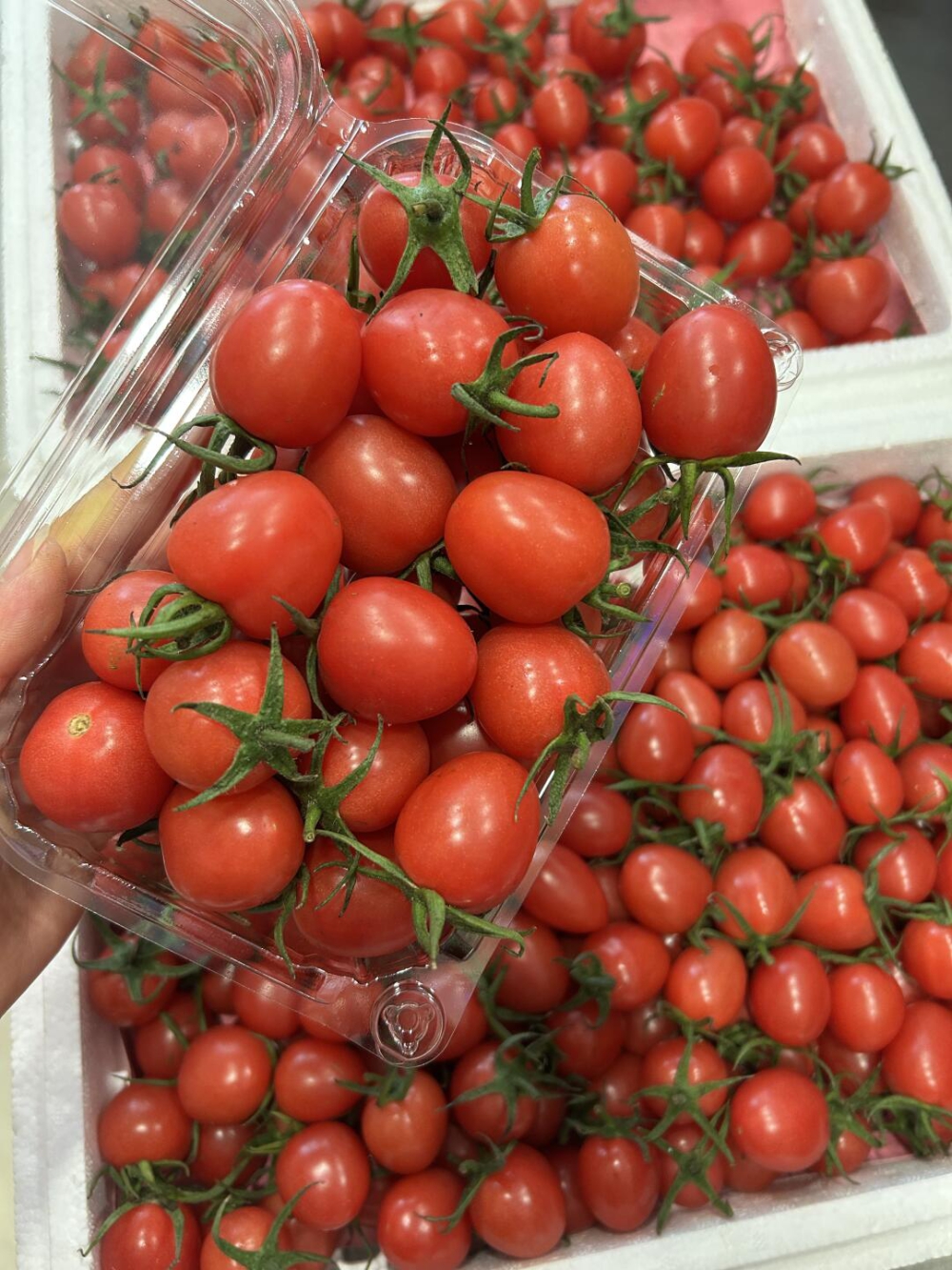 维生素小糖丸🍅太爱吃小番茄了👏减脂期 没 配图2