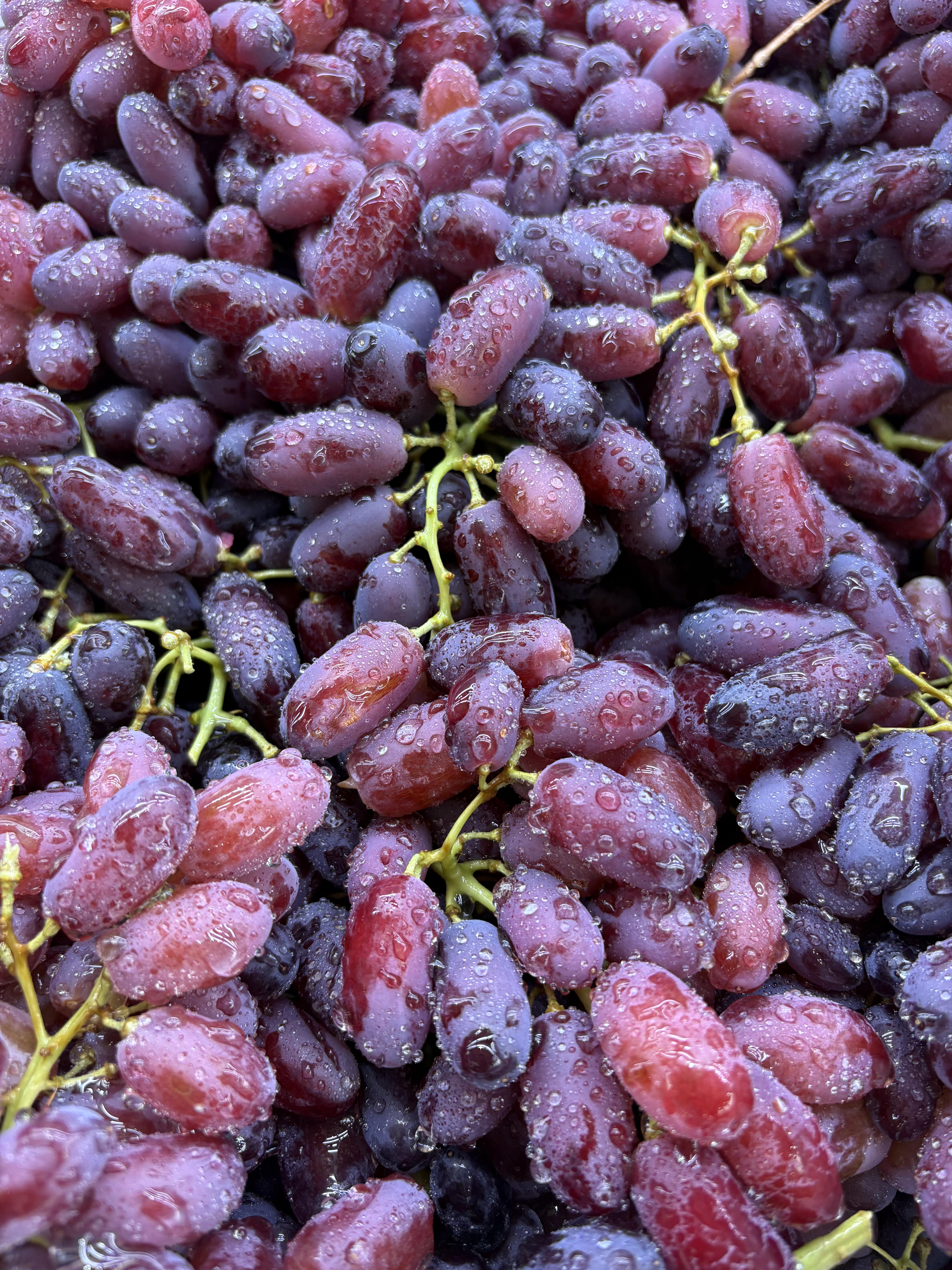 美人指🈚️籽黑提🍇 稀有品种🌟，外形独特 配图3