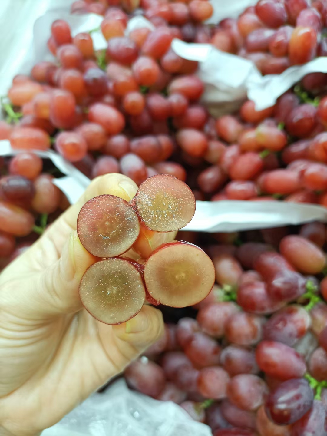 秋风送爽，来一串新鲜滴水无籽红提吧🍇 挂 配图2