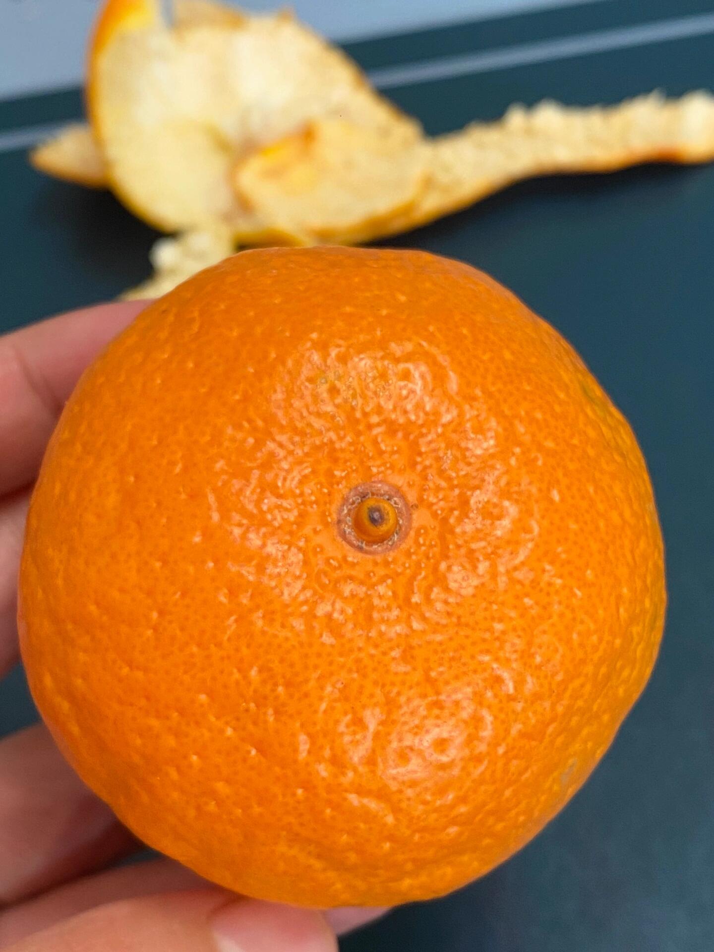 涌泉蜜桔上市了🍊孕妈妈小孩放心吃😋 现在 配图3