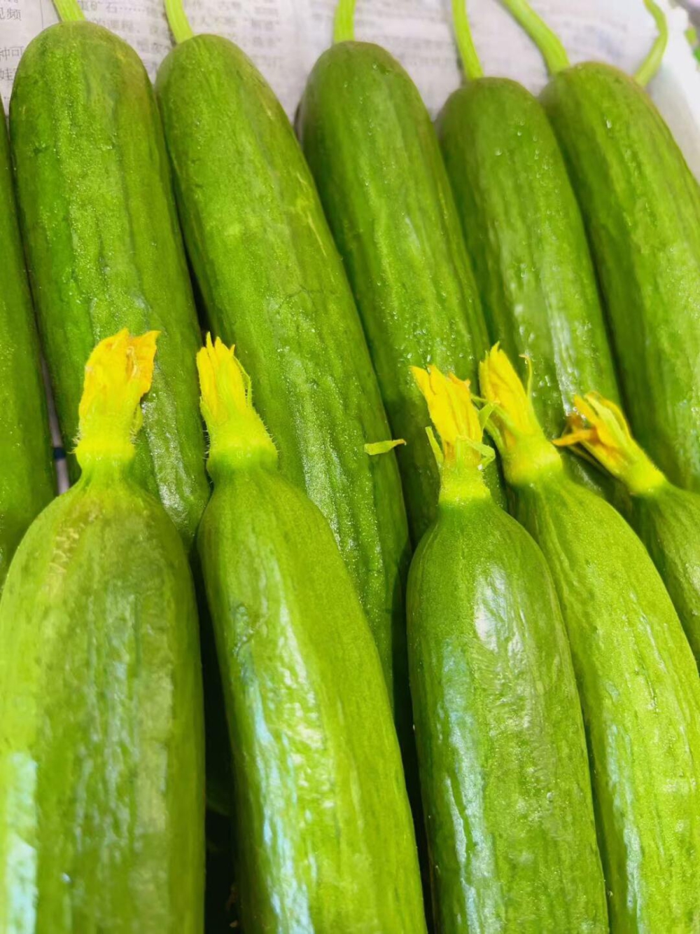 🥒水果小黄瓜🥒酥脆爽口，口感完爆普通黄瓜 配图2