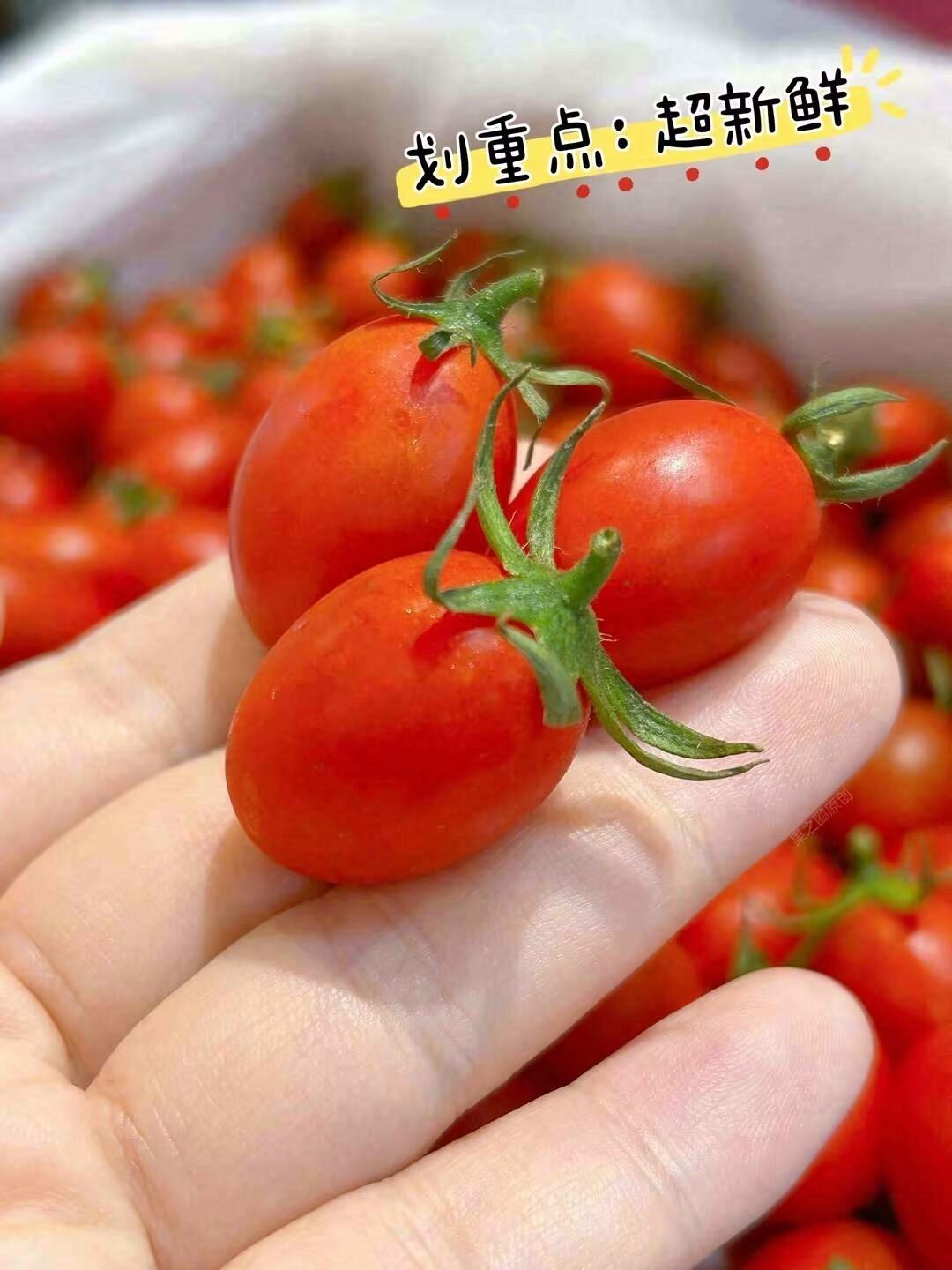 🍅樱桃番茄甜蜜小颗粒！ 果肉鲜嫩酸甜，汁 配图1