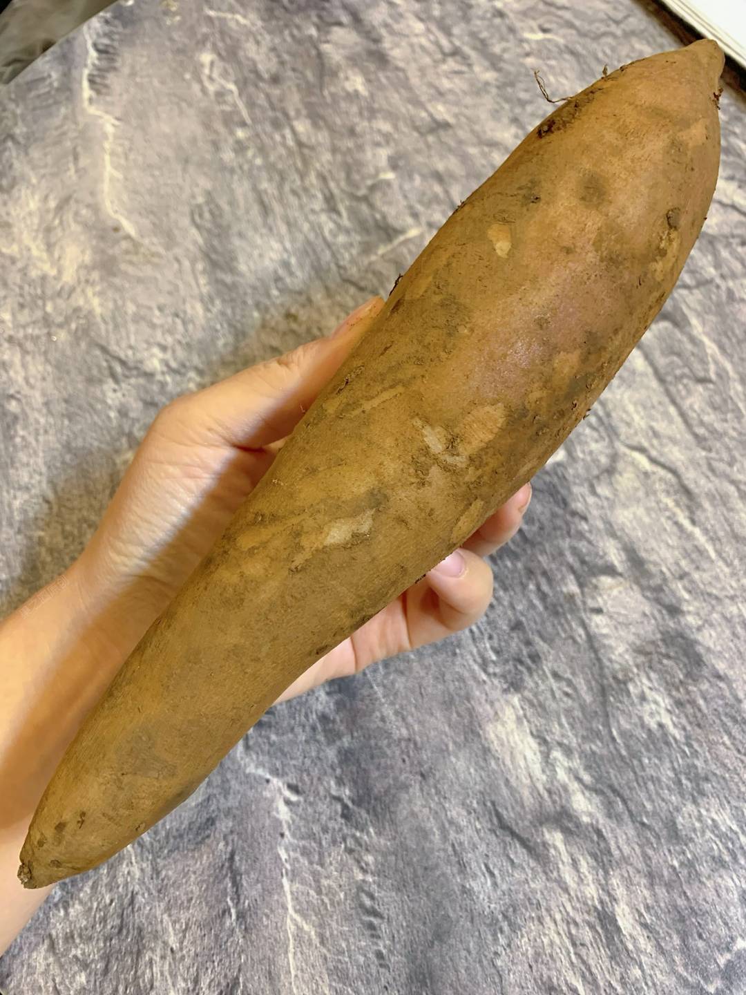 🍠云‮仙南‬果，貌似红薯 内‮水心‬润玉 配图3