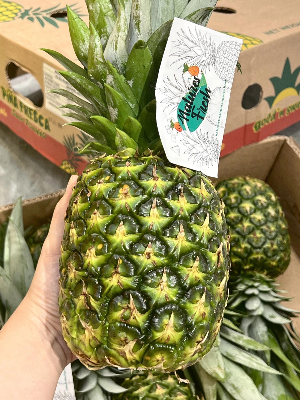 无需泡盐水，每一口都甜🍍 菲律宾🇵🇭特大 配图2
