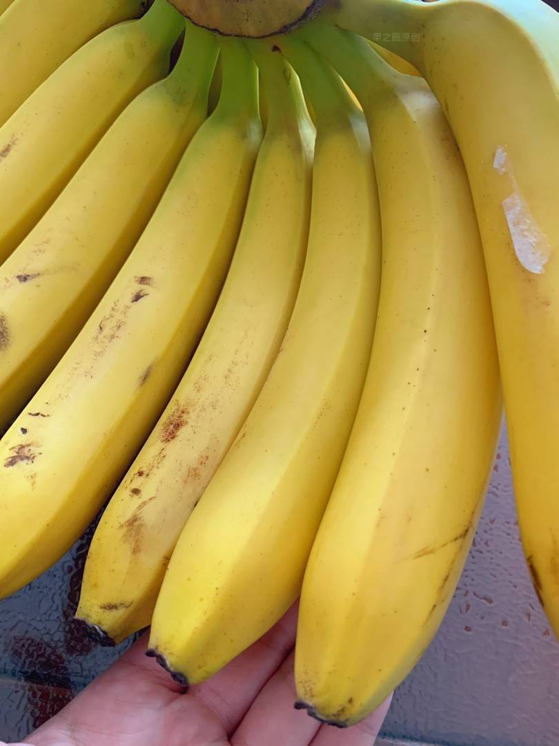 打工人你焦虑吗❓ 来根香蕉🍌压压惊❗ 不 配图2