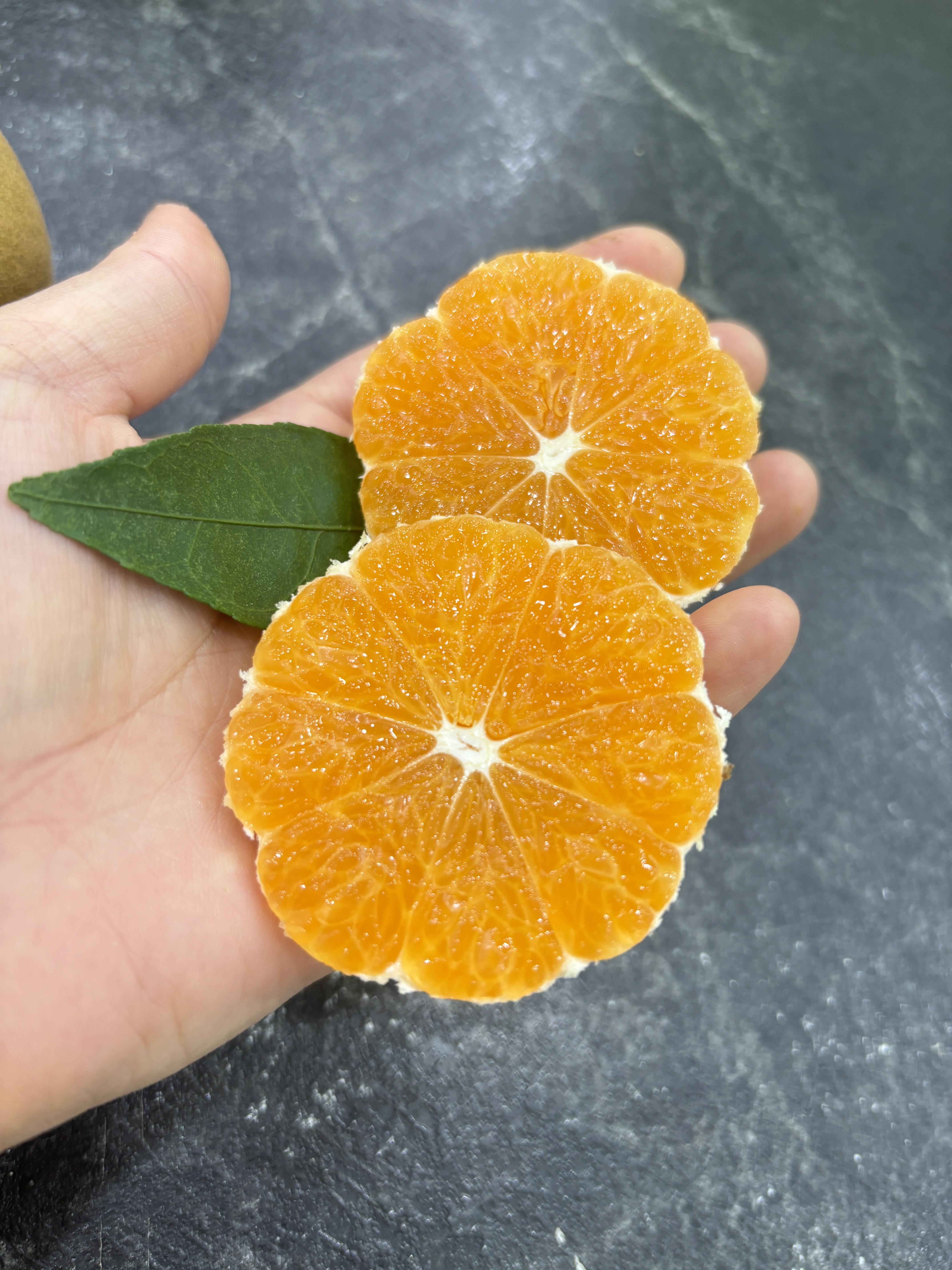 🍂秋天的第一颗蜜橘🍊 皮薄肉厚，酸甜多汁 配图1