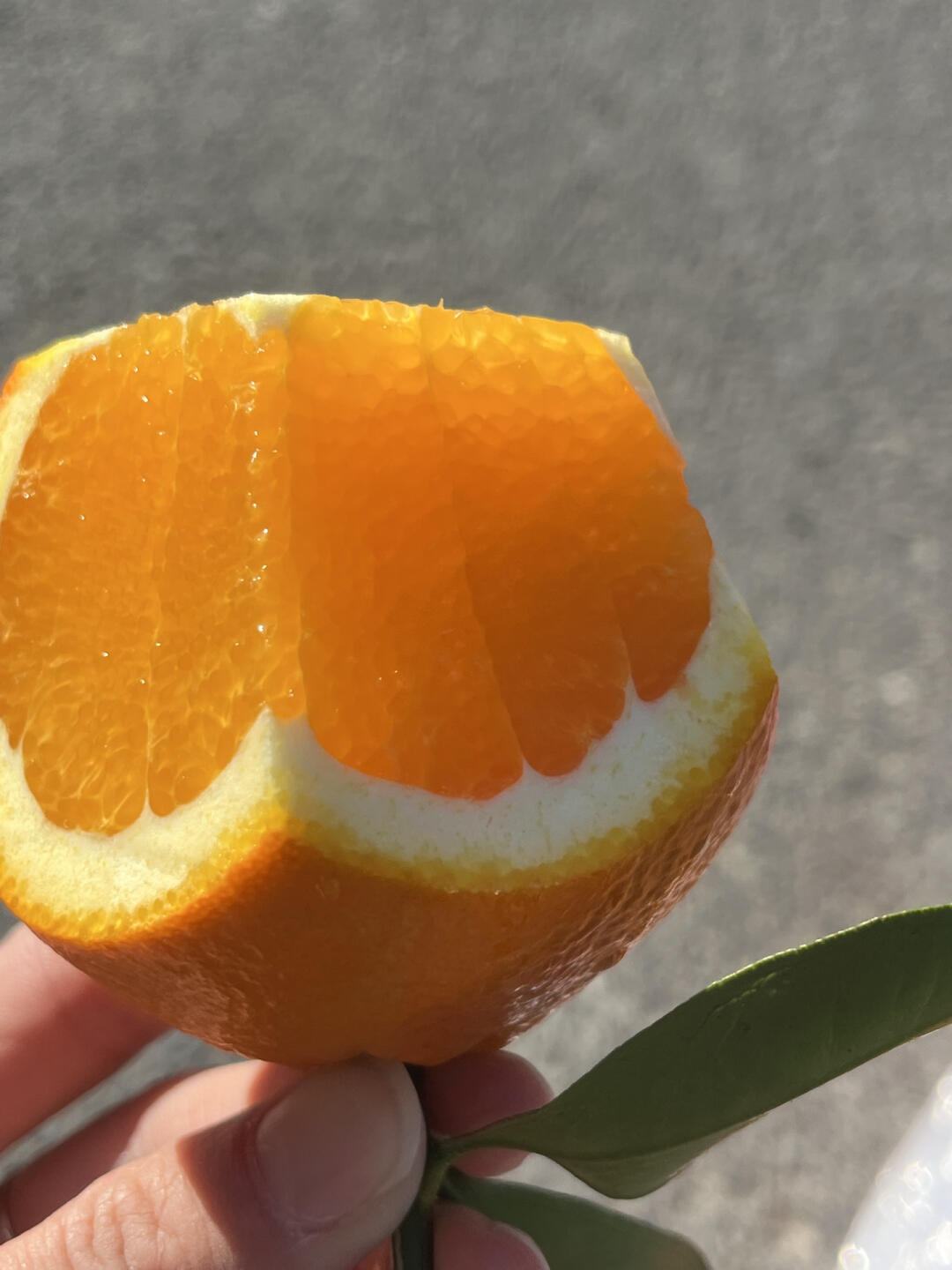 赣南脐橙🍊 一个，两个，连吃三个都不够👏 配图2