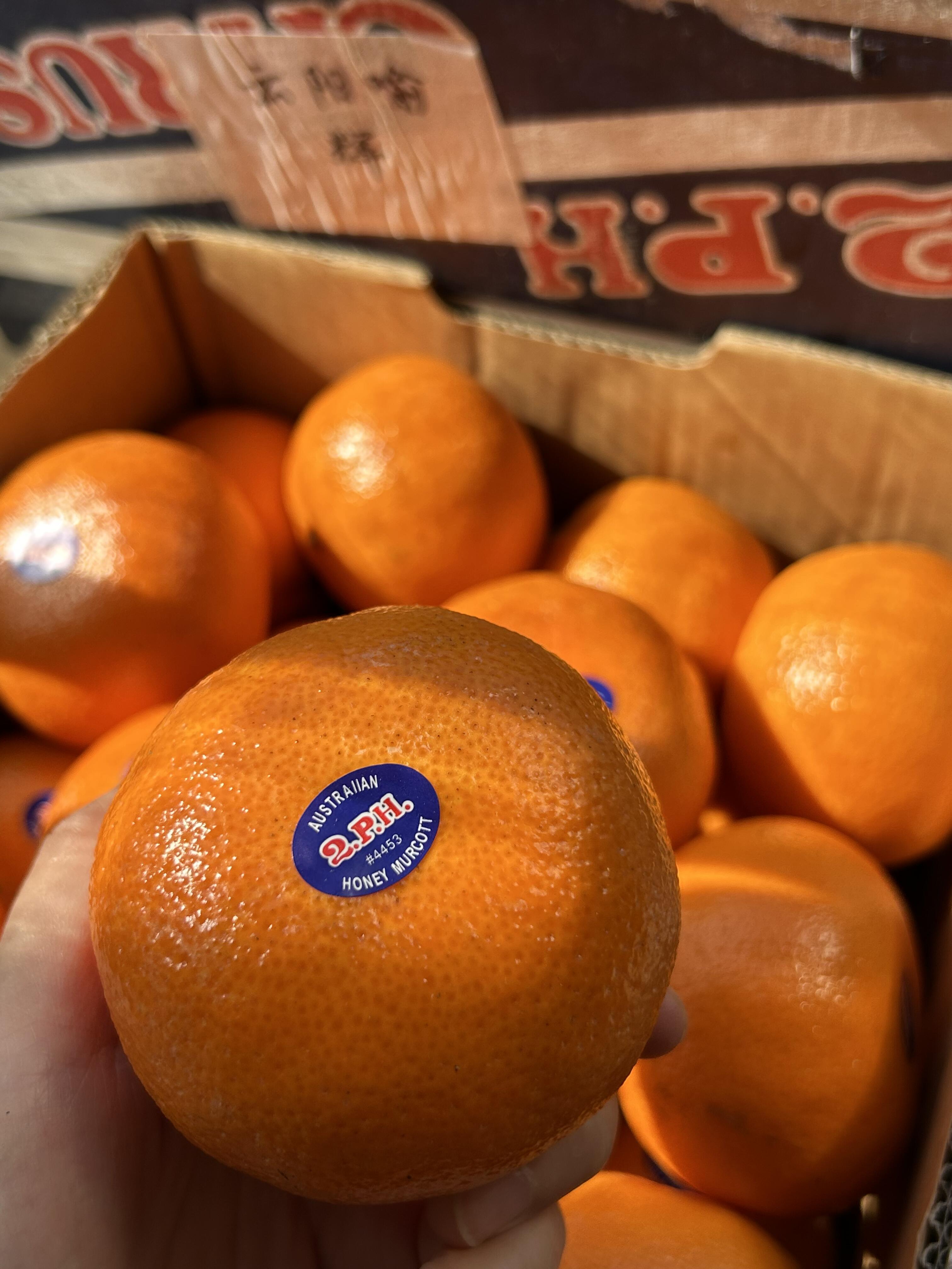 🍃柑橘王者！2ph澳橘🍊 吃腻了夏日的水 配图2