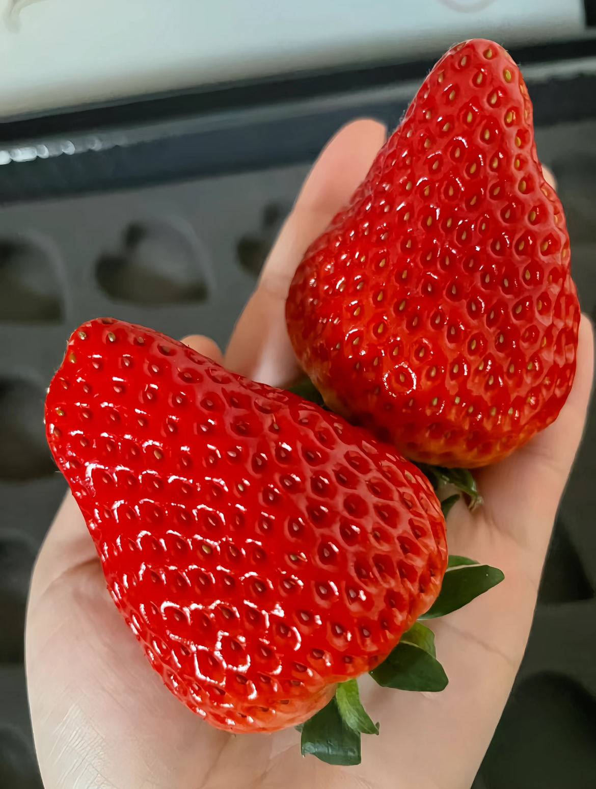 🍓一莓甜三冬，味美益老少 冬天❄️的鲜活 配图1