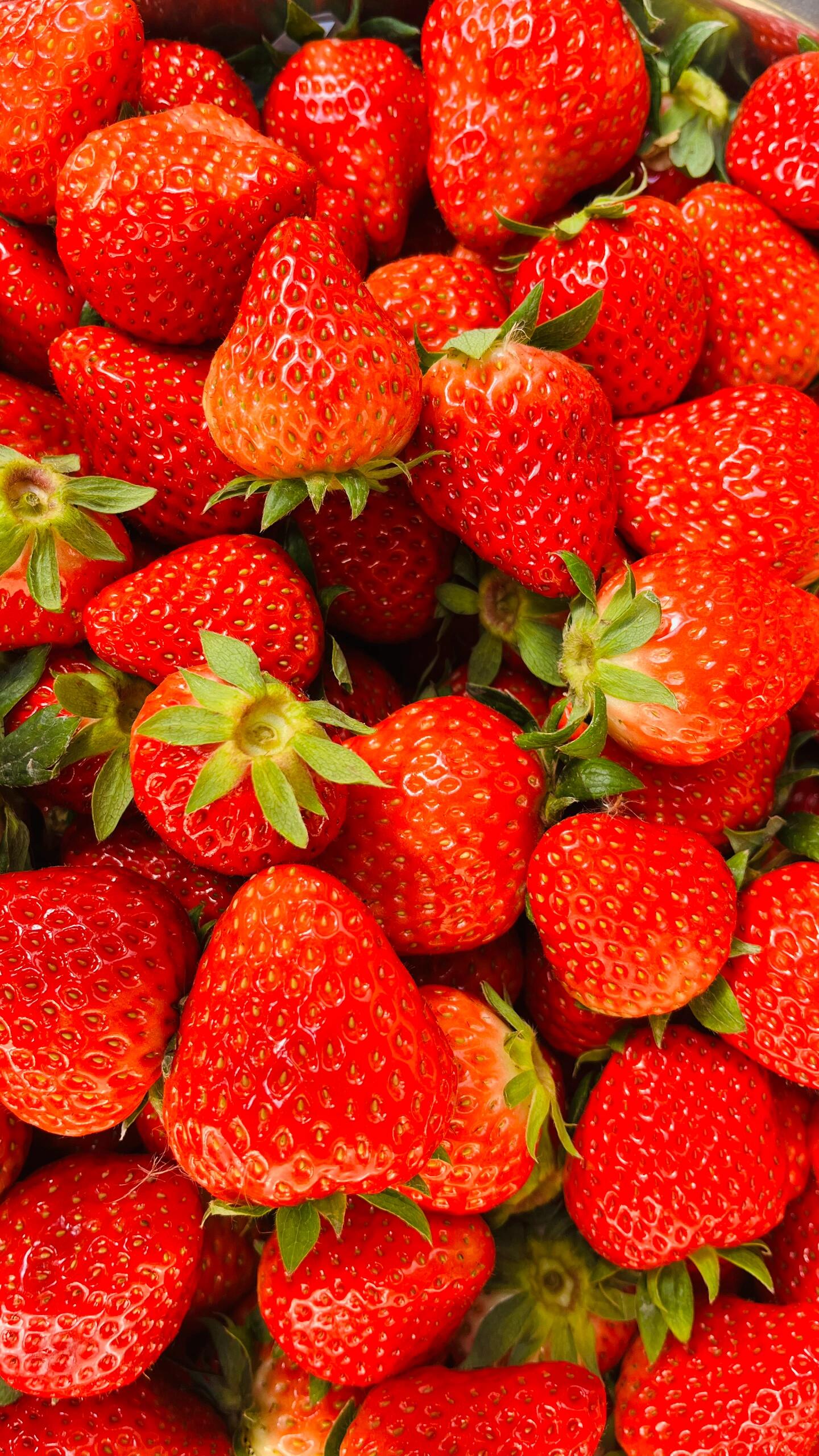 一颗颗草莓🍓俏皮可爱、红润饱满，一口咬下 配图2