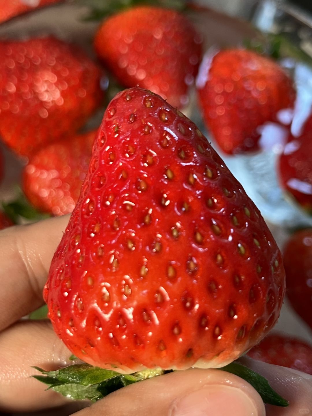 🍓【草莓控的快乐时刻‼️】 个头饱满、酸 配图1