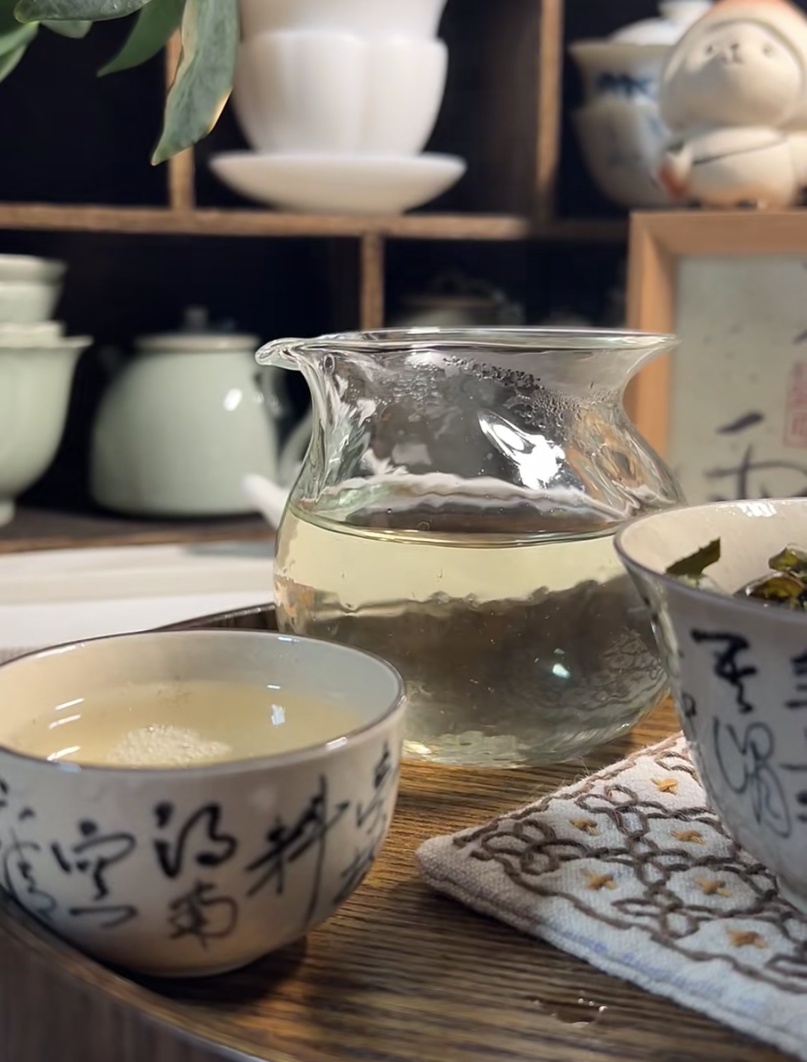 🔥限时福利｜台湾青心乌龙限时特惠 🌟核心 配图3