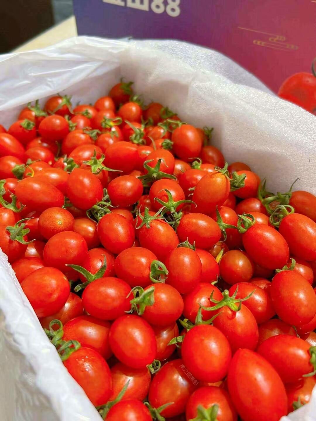 🍅樱桃番茄甜蜜小颗粒！ 果肉鲜嫩酸甜，汁 配图3