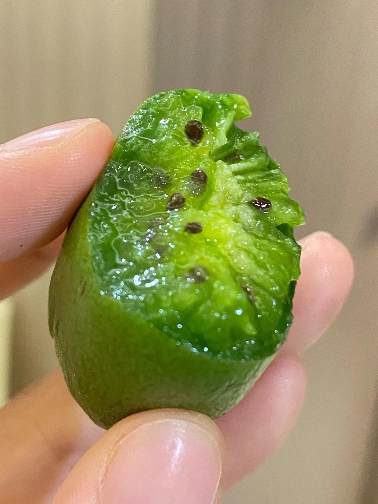🥝软枣猕猴桃惊艳爆汁！ 果肉细嫩香甜，一 配图1
