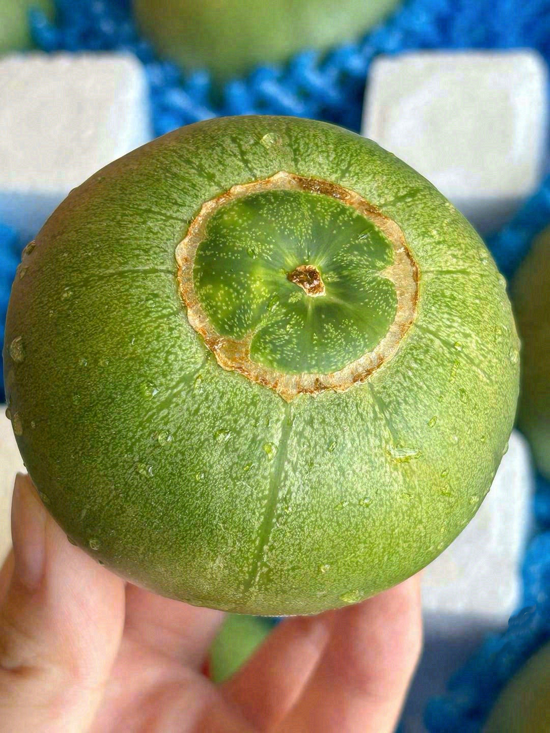 你的快乐补给站已上新🛒 爆汁橙子🍊香甜蜜 配图1