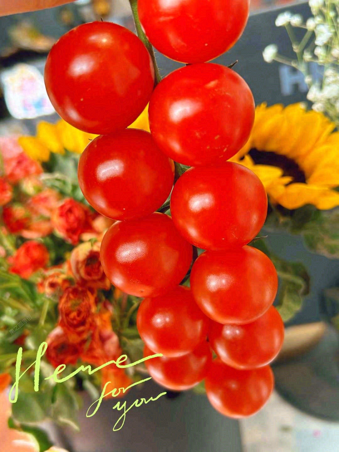 串收小番茄🍅美味诱人，口感脆爽💥 小小一 配图1