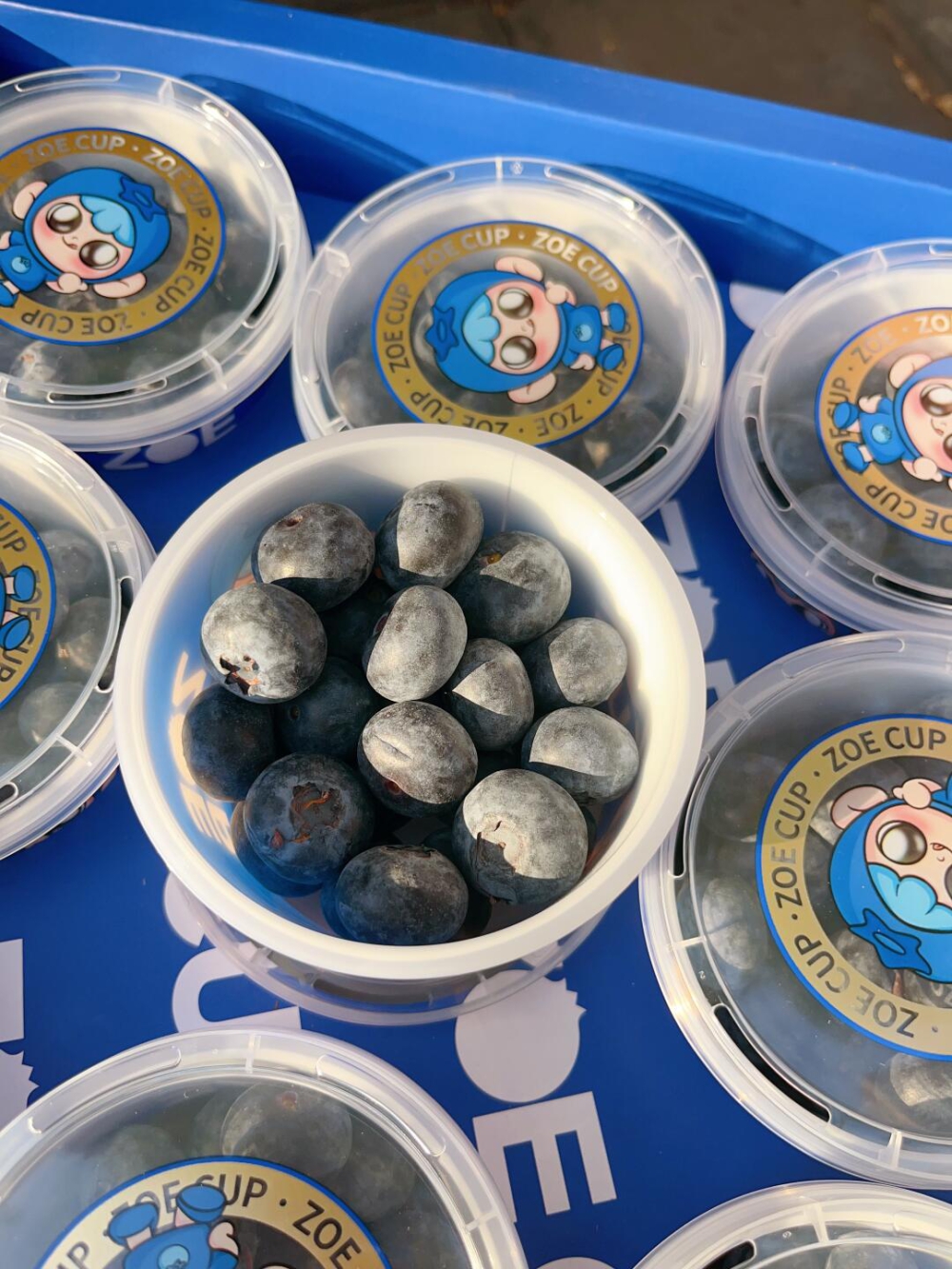 高端客定蓝莓🫐好食鲜果～源于自然😘颗颗甄 配图2