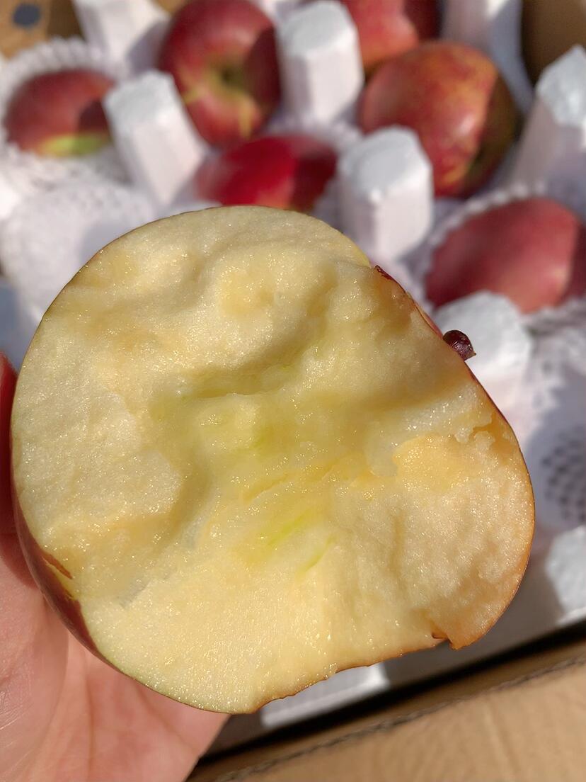 大凉山丑苹果🍎 年年都靠抢！这才是树上熟 配图1