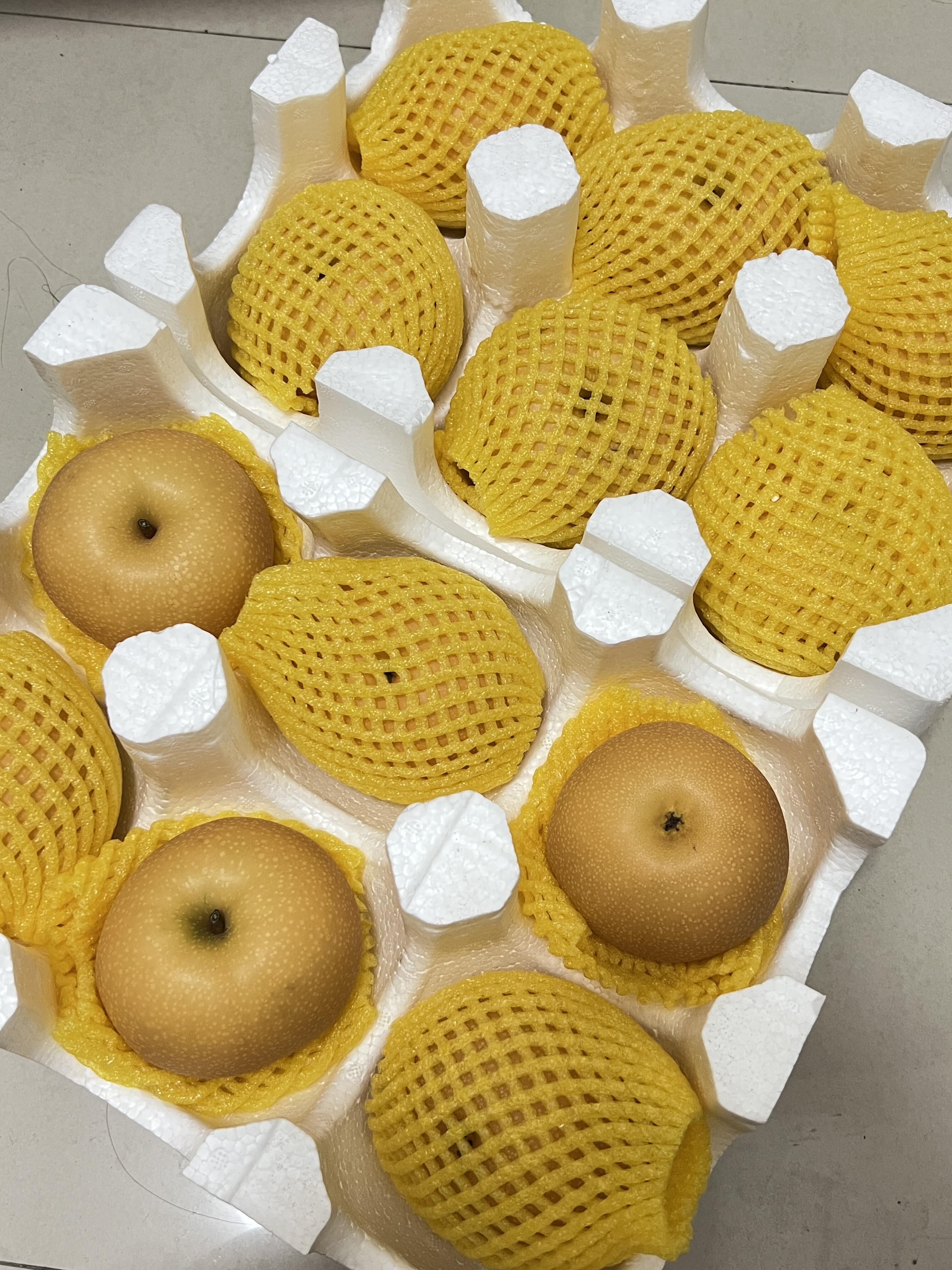🍐【秋月梨】💦💦 哇～🌲秋天最怀念的水果 配图3