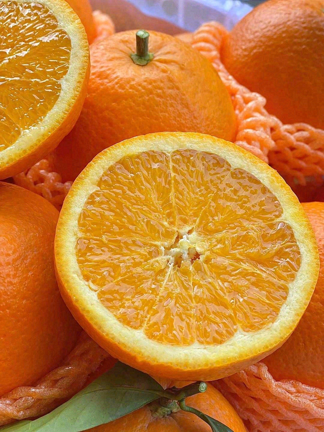 此时已满园橙香🍊，念你的人正在路上🏃 我 配图1