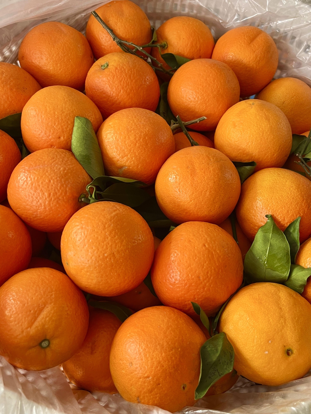 红橙🍊应季的鲜橙，好吃吖卡拉红橙🍊薄皮多 配图3