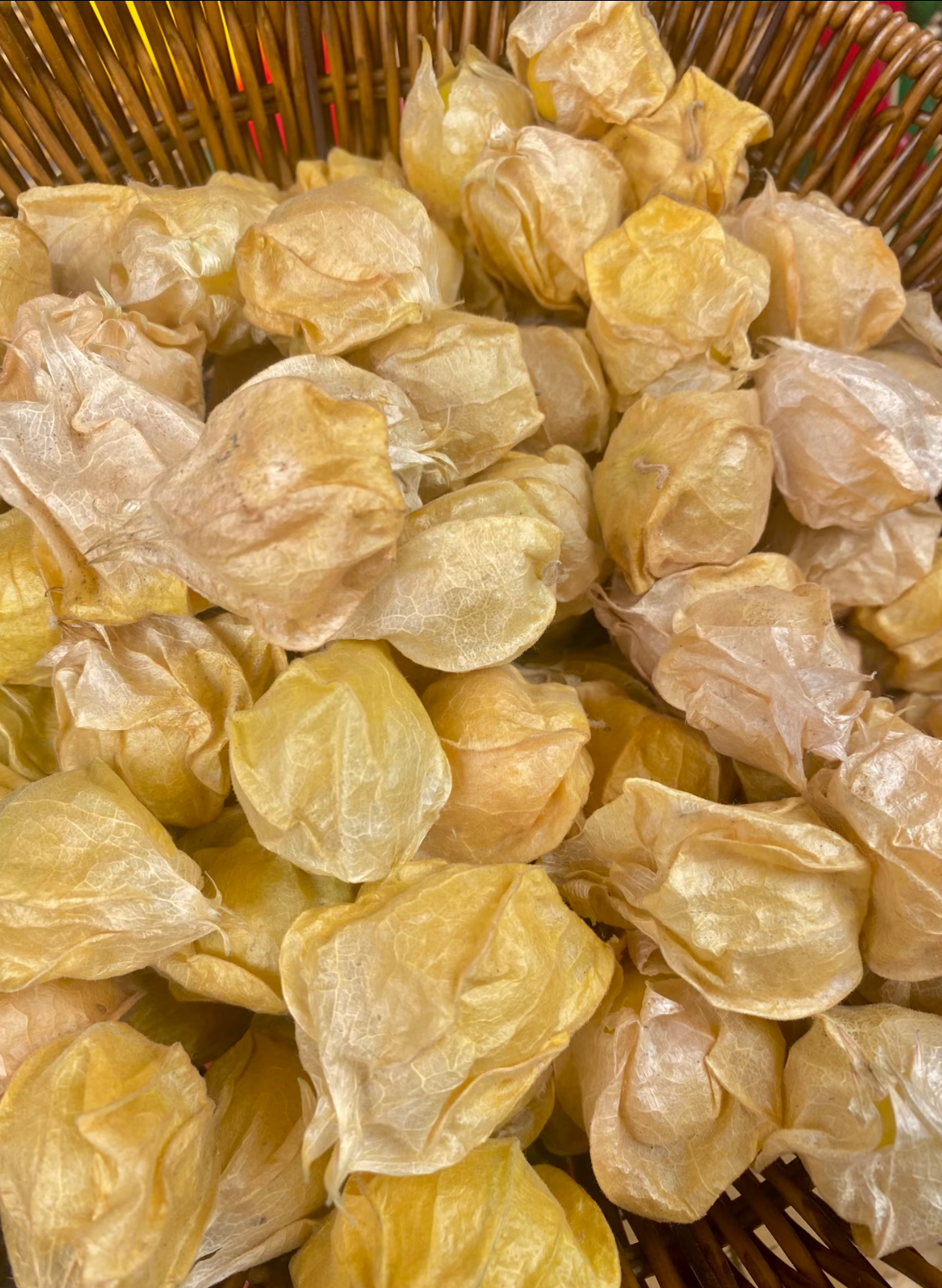 东北姑娘果上新啦‼️ 果皮薄如蝉翼，果肉 配图2