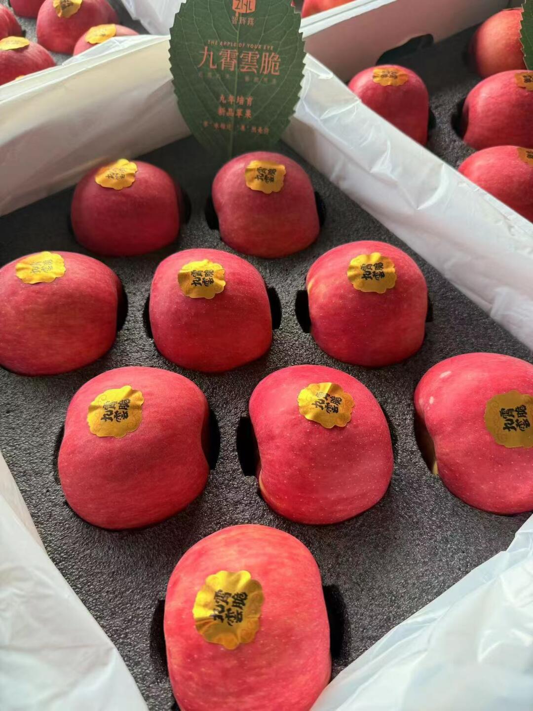 九霄云脆🍎 新品苹果，九年培育 脆甜多汁 配图3
