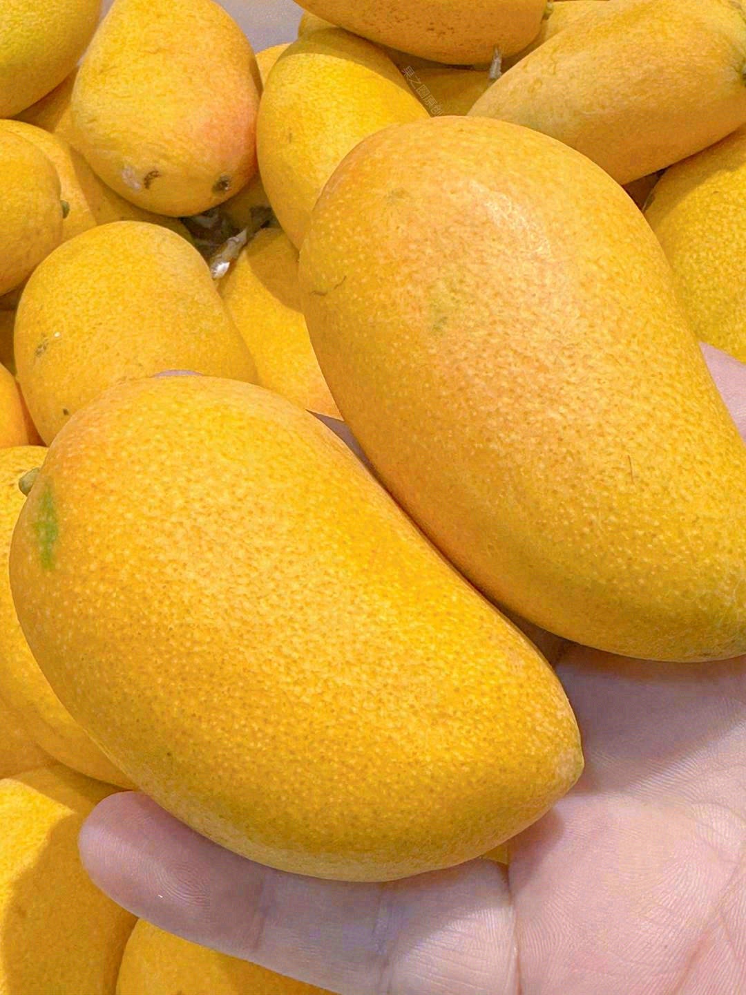 一口一个小台农🥭，极致香甜味多汁🍹 芒果 配图2