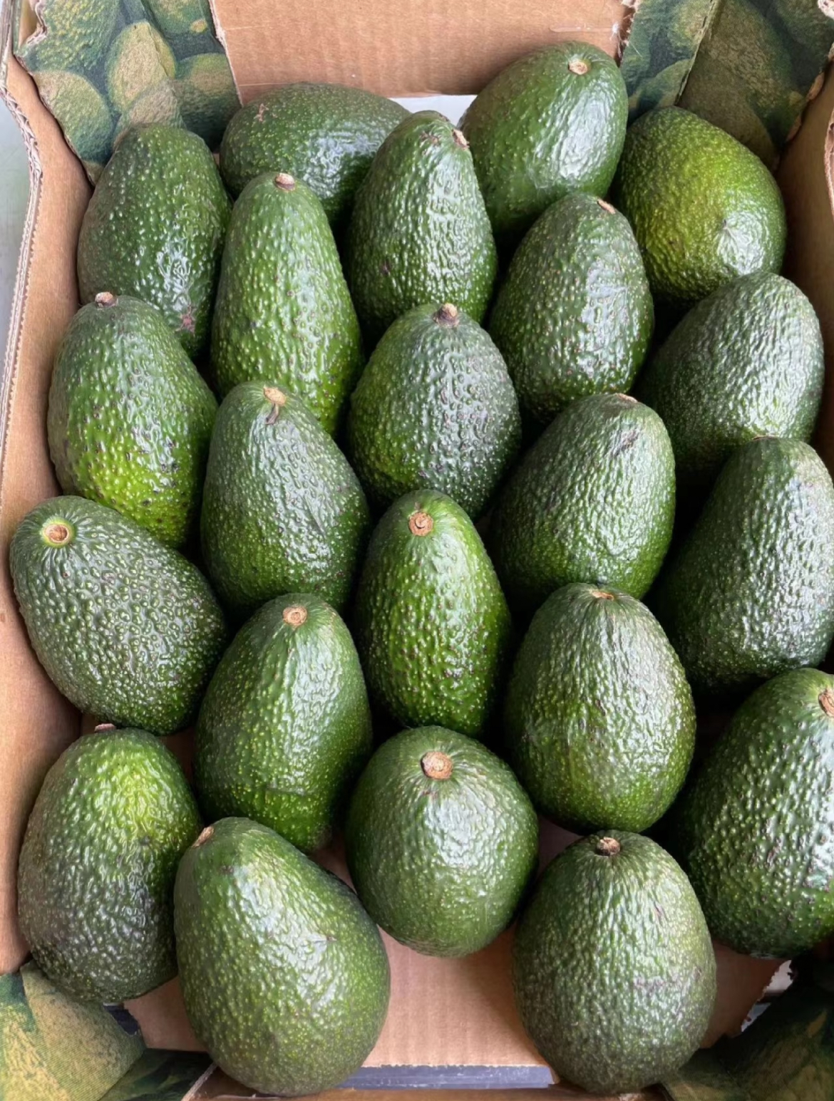 【新鲜牛油果🥑】 最新到货！ 绵密丝滑， 配图3