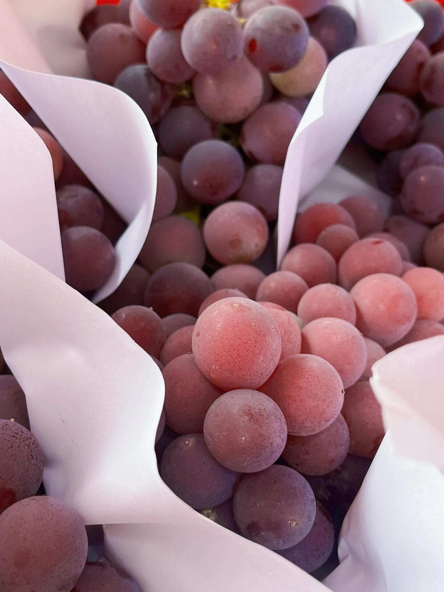 巨峰葡萄🍇 轻咬一口，汁水💦瞬时充盈于唇 配图3