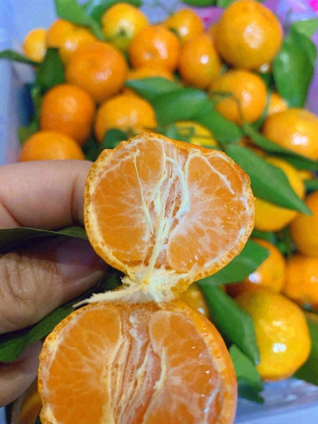 🌿小店日常记录✨ 每日新鲜水果到货🍎🍌🍇 带给你不一样的味蕾 配图5