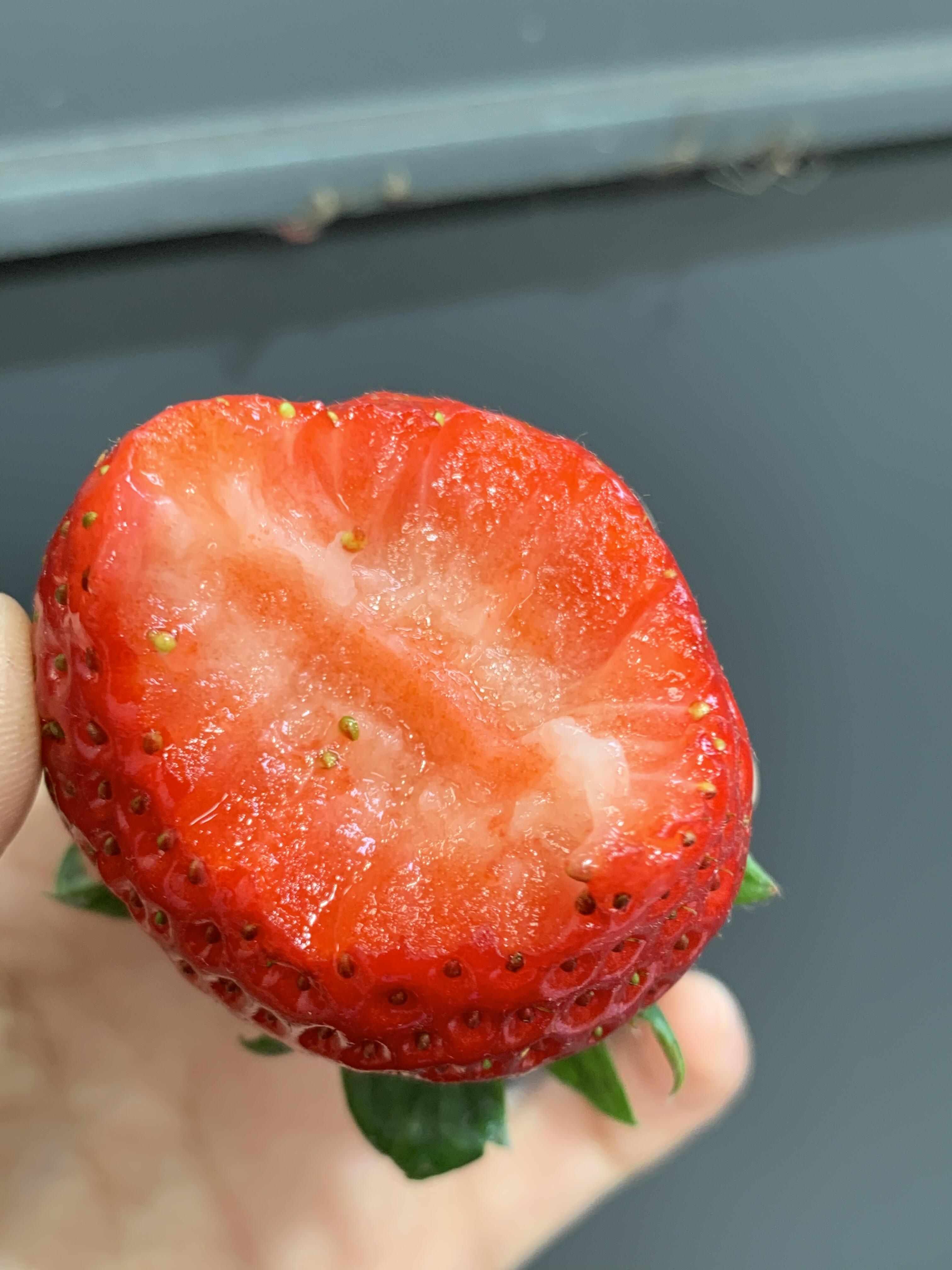 露天草莓超鲜甜🍓 个头不大，甜度高，草莓 配图2