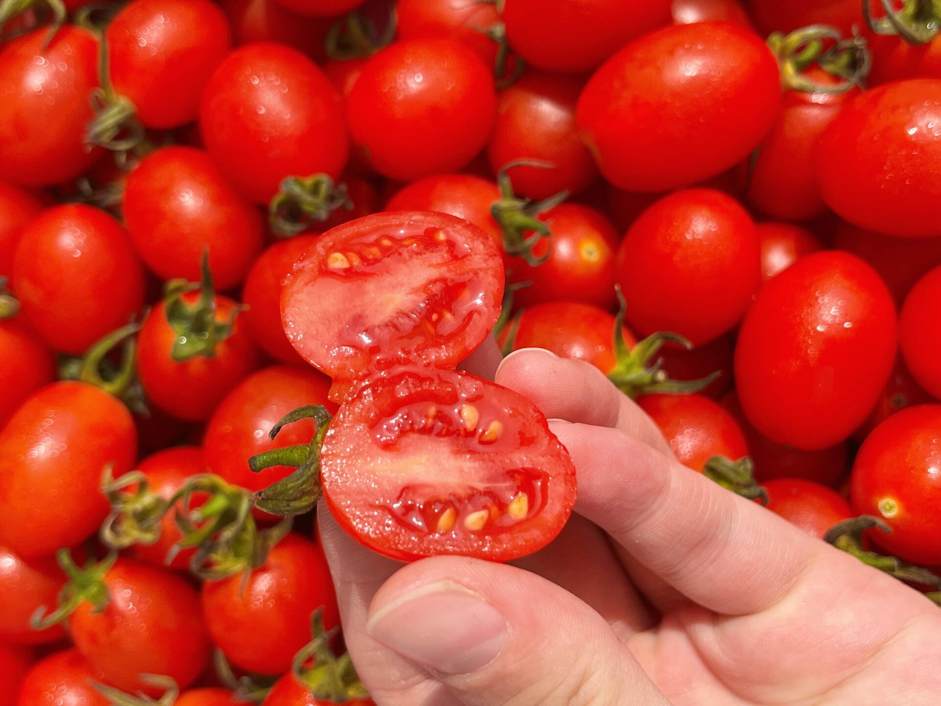 新货到家【玲珑千禧🍅】 翠绿翠绿的果叶🍃 配图2