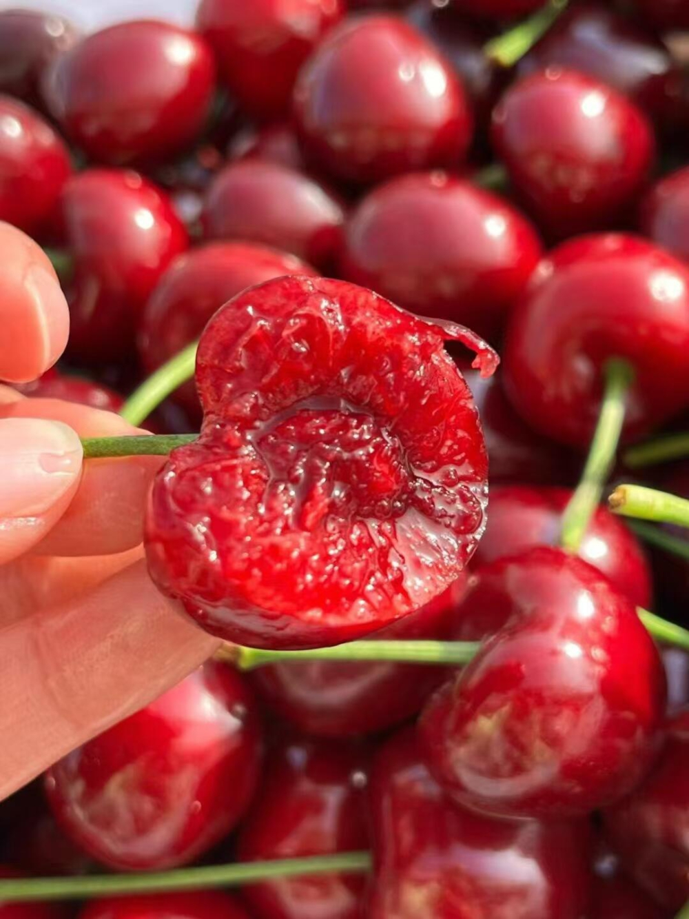 🍒 美早樱桃甜蜜上线！ 果粒硕大，汁水充 配图2