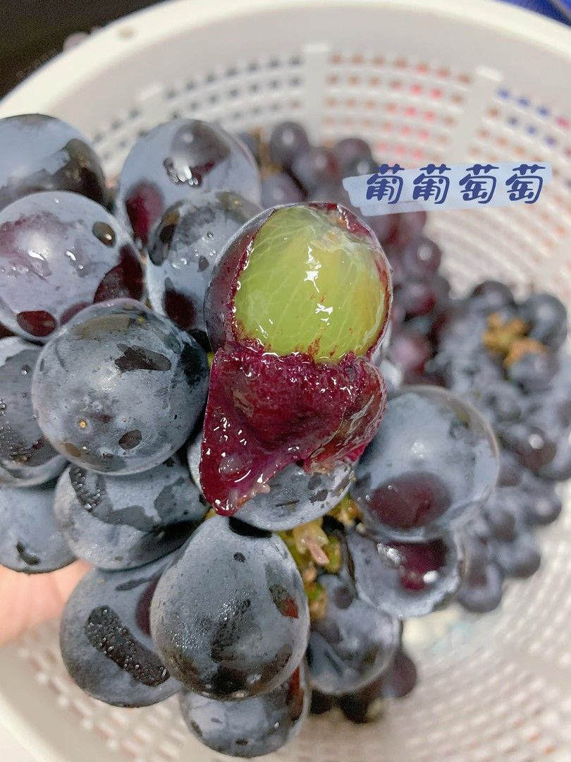 🍇轻轻一咬 果肉在嘴里里炸裂💥 果汁在唇 配图2