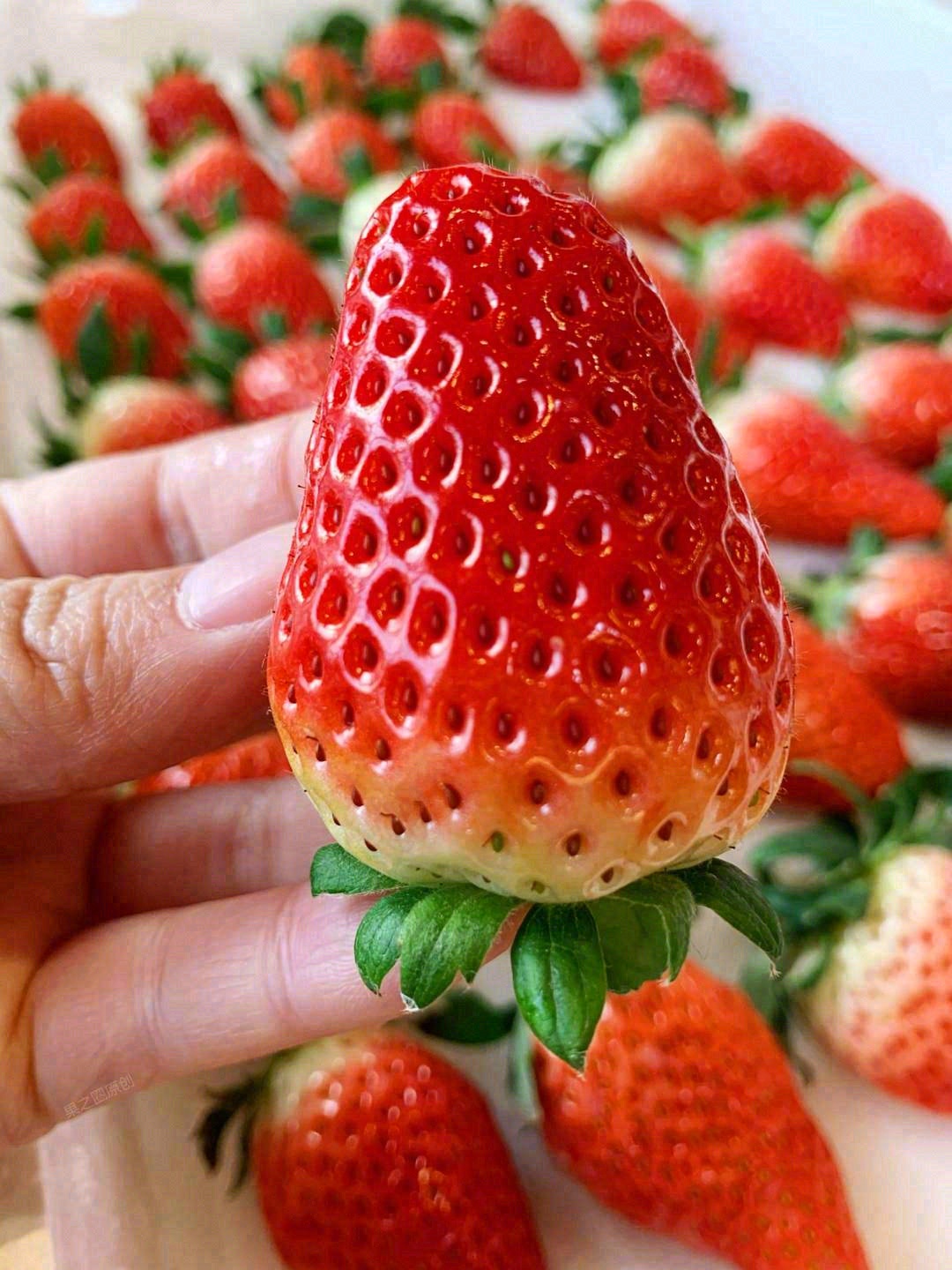 🌿 🍉让生活也有了甜味 每日鲜果，充实每 配图3