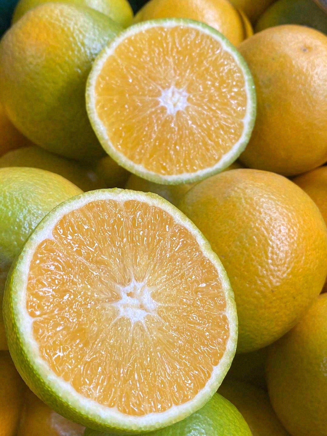 一种以甜度命名的橙子🍊 个头不大，地表最 配图3