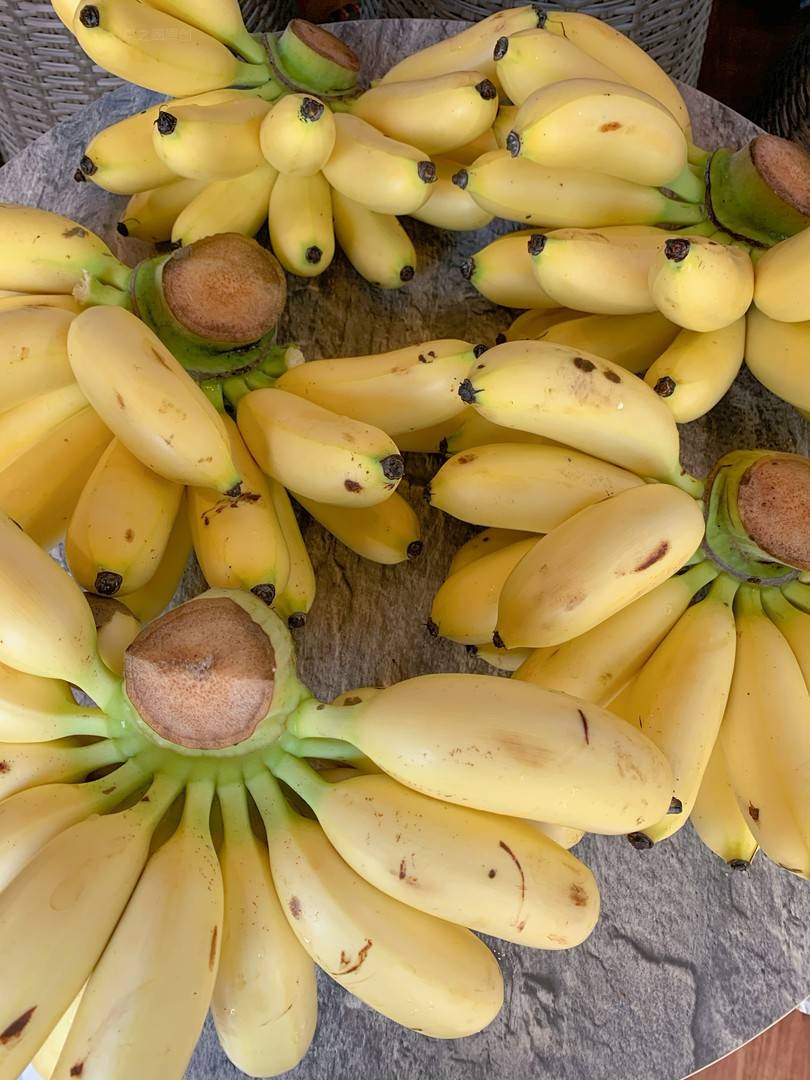 🍌香蕉届的“肉墩子”😂 “蕉”香四溢 个 配图1