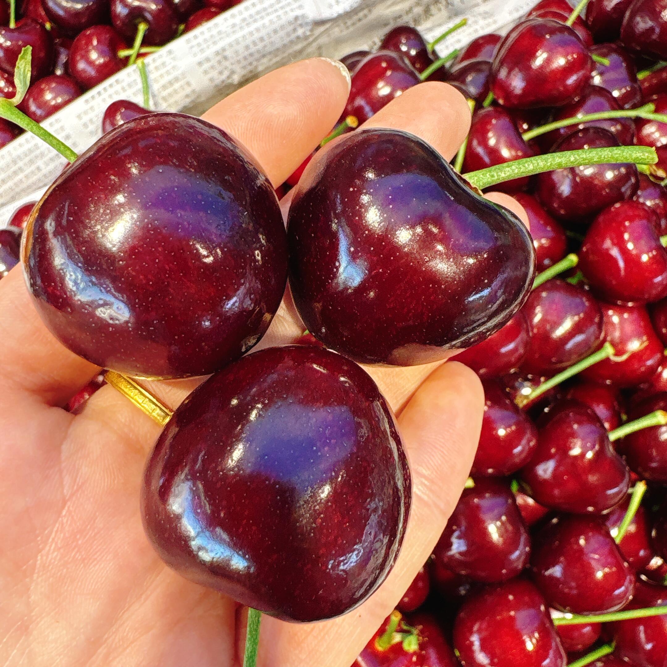 🍒一年一季樱桃甜，终于等到你！ 颗颗饱满 配图1