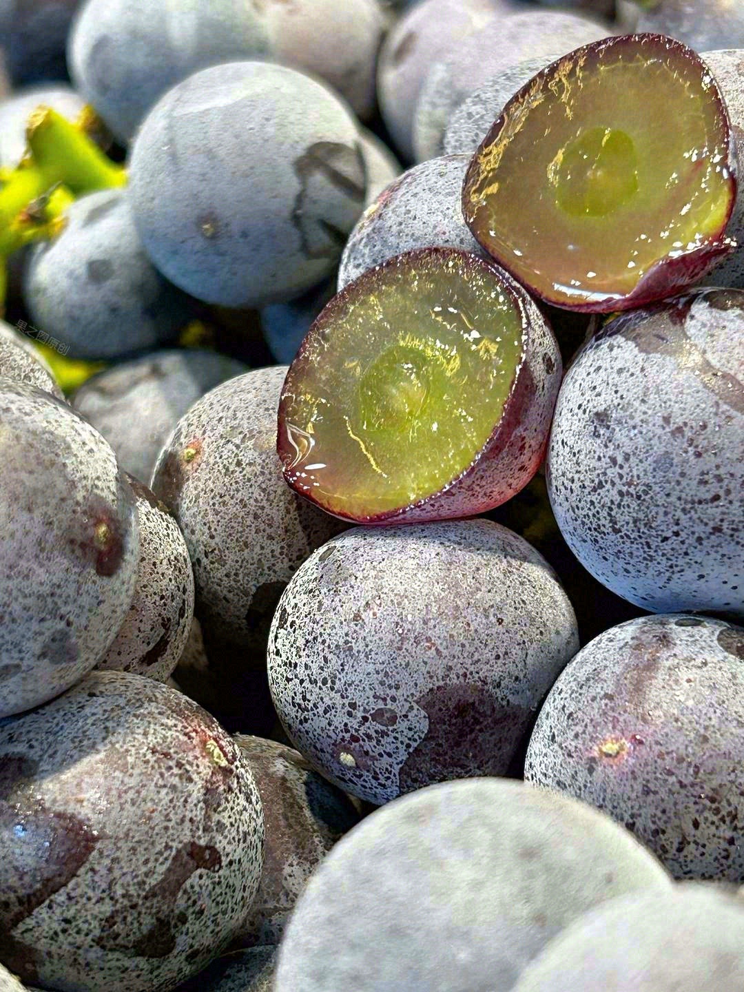 一份坚守的味道🙋 一份淳朴的葡萄香🍇 葡 配图1