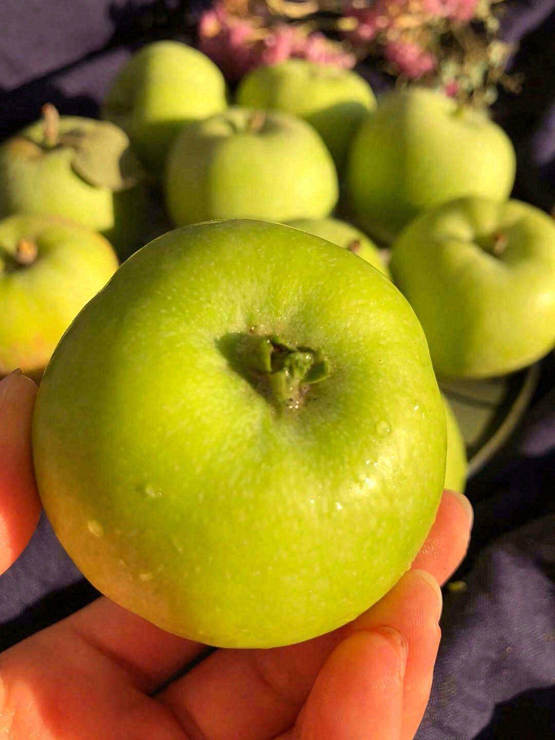 🍏清甜先化在舌尖蔓延至一丝微酸，再由酸回 配图1