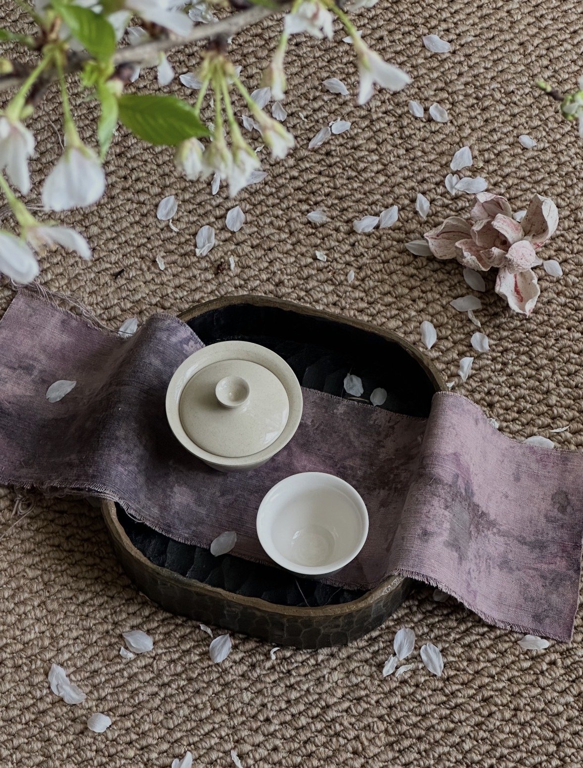 『茶席』-樱花🌸 早樱已经开始落下花瓣啦 配图2
