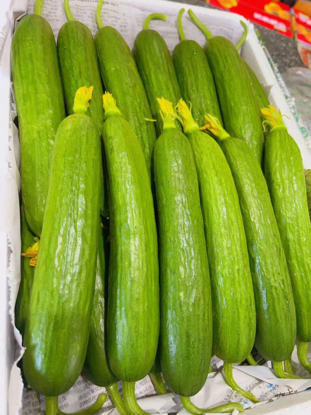 🥒水果小黄瓜🥒酥脆爽口，口感完爆普通黄瓜 配图1