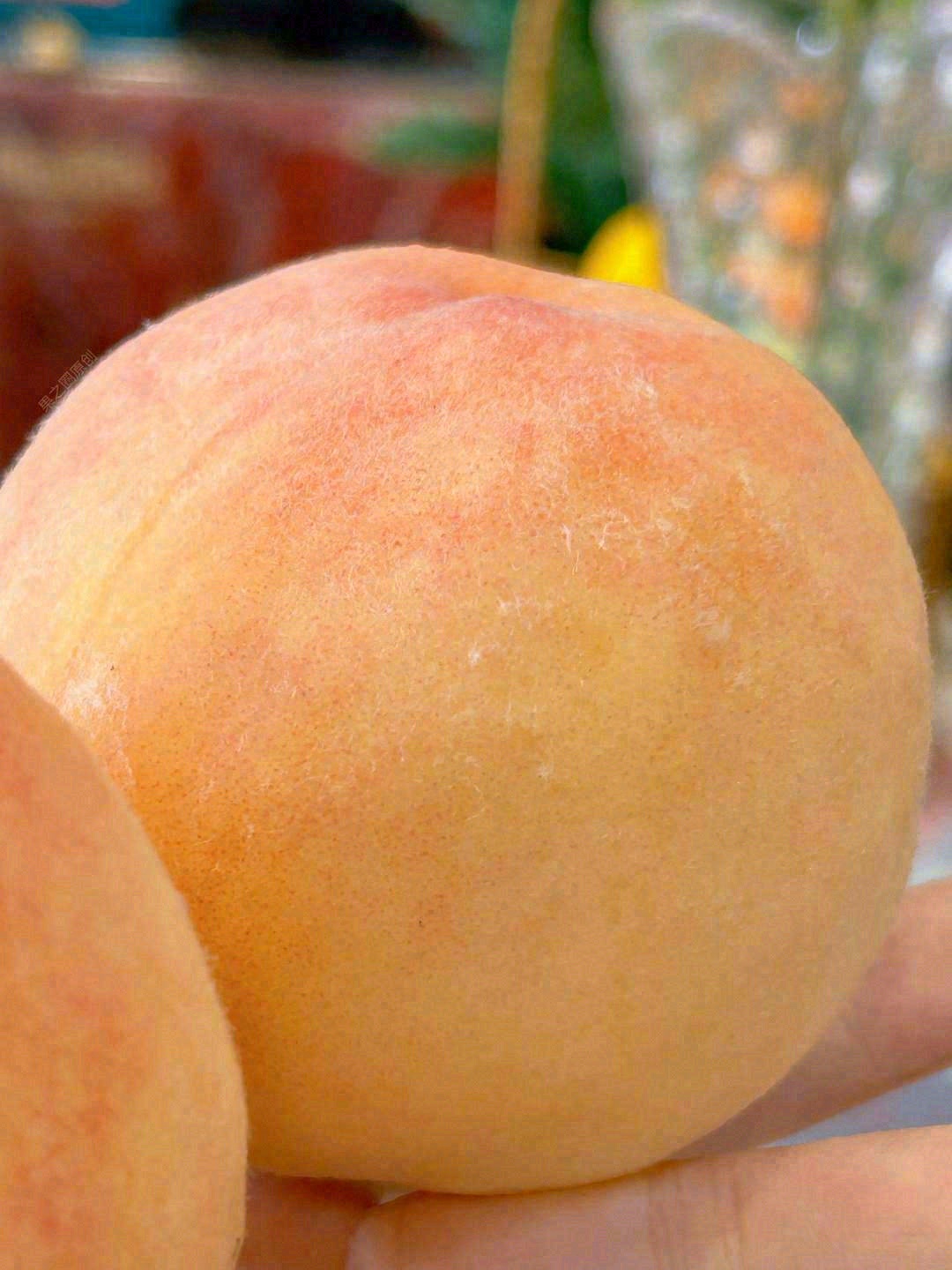 精选的水蜜桃🍑 口味上绝对有保证👍 入口 配图1