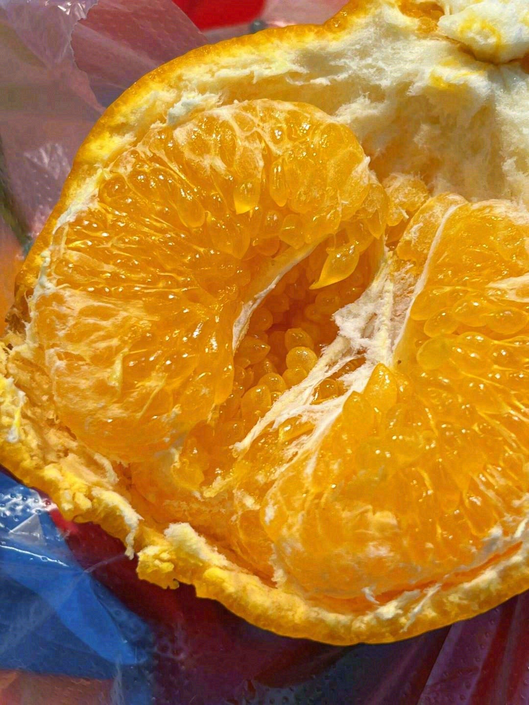 🙋人生不仅有初见，还有春见🍊 满满“柑” 配图3
