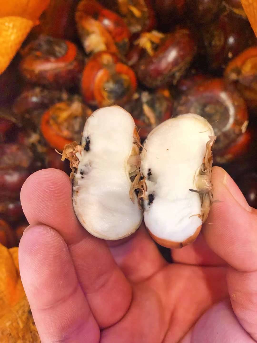 🍃马蹄，肉质洁白，味甜多汁，清脆可口👄个 配图3